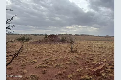 Tbd (Lot 231) N9326, Concho, AZ 85924 - Photo 3