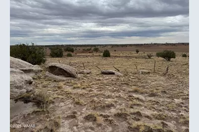 Tbd (Lot 231) N9326, Concho, AZ 85924 - Photo 15