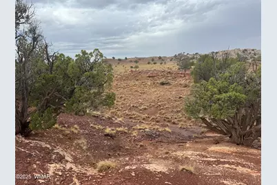 Tbd (Lot 231) N9326, Concho, AZ 85924 - Photo 5