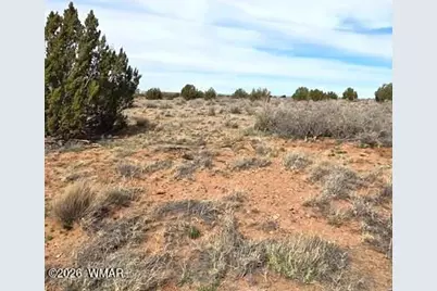 5324 White Antelope Road, Snowflake, AZ 85937 - Photo 17