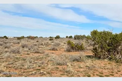 5324 White Antelope Road, Snowflake, AZ 85937 - Photo 11
