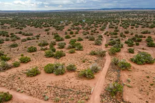 92 County Rd N5417, Concho, AZ 85924 - Photo 35