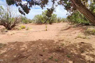 92 County Rd N5417, Concho, AZ 85924 - Photo 43