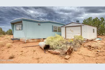 92 County Road N5417, Concho, AZ 85924 - Photo 29