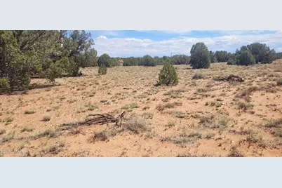 Tbd Cr5532, Concho, AZ 85924 - Photo 7