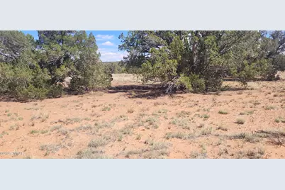 Tbd Cr5532, Concho, AZ 85924 - Photo 11