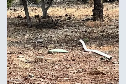 12 N 8401, Vernon, AZ 85940 - Photo 5