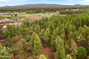 2249 S Penrod Ln, Pinetop, AZ 85935 - Photo 27