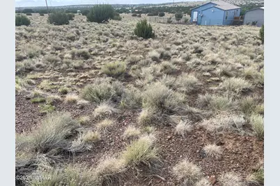 01 Aspen Drive, Concho, AZ 85924 - Photo 5