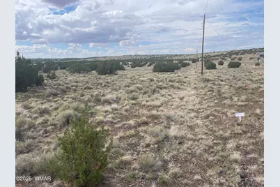 03 Aspen Drive, Concho, AZ 85924 - Photo 3