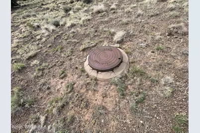 03 Aspen Drive, Concho, AZ 85924 - Photo 5