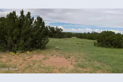 4979 W Tharp Road, Snowflake, AZ 85937 - Photo 17