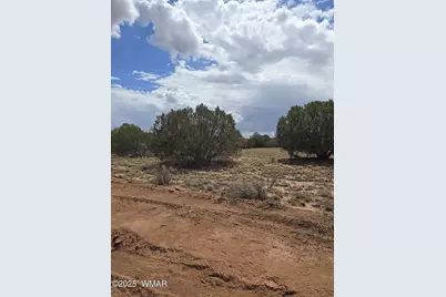 4979 W Tharp Road, Snowflake, AZ 85937 - Photo 5