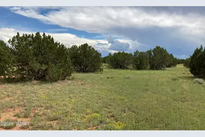 4979 W Tharp Road, Snowflake, AZ 85937 - Photo 1