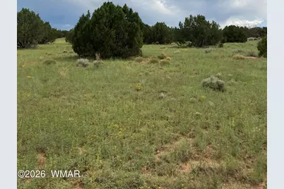 4979 W Tharp Road, Snowflake, AZ 85937 - Photo 13