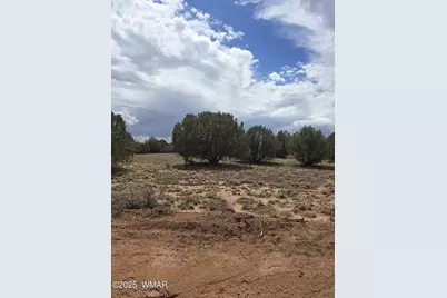 4979 W Tharp Road, Snowflake, AZ 85937 - Photo 1