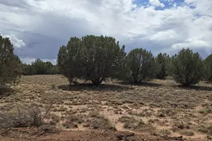 4979 W Tharp Rd, Snowflake, AZ 85937 - Photo 1