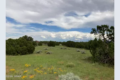 4979 W Tharp Road, Snowflake, AZ 85937 - Photo 19