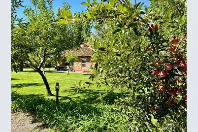 6442 W 1st Street, Woodruff, AZ 85942 - Photo 45