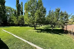 6442 W 1st St, Woodruff, AZ 85942 - Photo 51