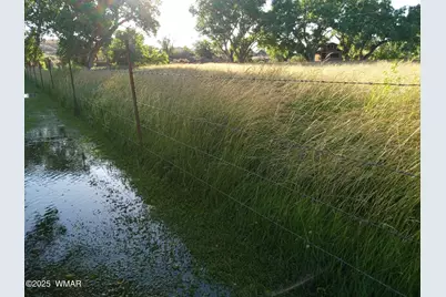 6442 W 1st Street, Woodruff, AZ 85942 - Photo 67