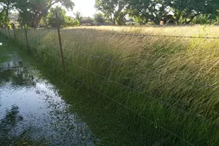 6442 W 1st St, Woodruff, AZ 85942 - Photo 67