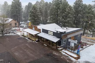 1898 State Route 260, Overgaard, AZ 85933 - Photo 37