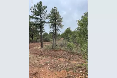 631 S Haven Drive, Show Low, AZ 85901 - Photo 1