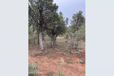 590 S Pine Haven Drive, Show Low, AZ 85901 - Photo 3