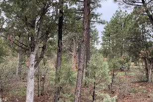 590 S Pine Haven Dr, Show Low, AZ 85901 - Photo 1