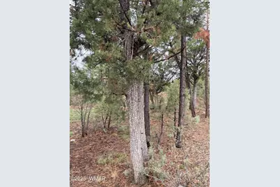 590 S Pine Haven Drive, Show Low, AZ 85901 - Photo 7