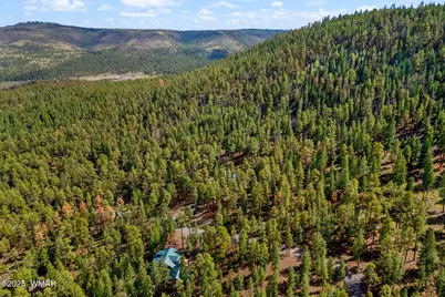 26 Cr N 1068 Street, Greer, AZ 85927 - Photo 39