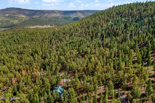 26 Cr N 1068 St, Greer, AZ 85927 - Photo 39