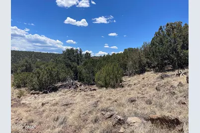 15 Oak Drive, Concho, AZ 85924 - Photo 1