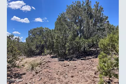 15 Oak Drive, Concho, AZ 85924 - Photo 5