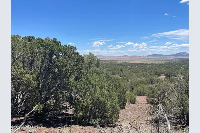 15 Oak Drive, Concho, AZ 85924 - Photo 13