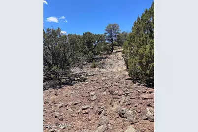 15 Oak Drive, Concho, AZ 85924 - Photo 7