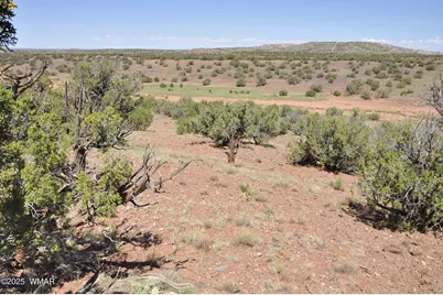 19 N8483, Concho, AZ 85924 - Photo 31