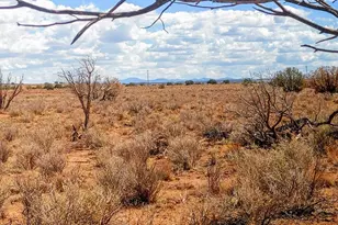 006S Willis Ranch Ln, Snowflake, AZ 85937 - Photo 1