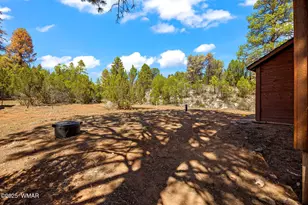 2343 Dovetail, Overgaard, AZ 85933 - Photo 29