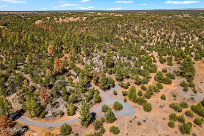 2343 Dovetail, Overgaard, AZ 85933 - Photo 33