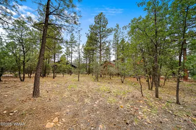 3331 W Tobasa Lane, Show Low, AZ 85901 - Photo 1