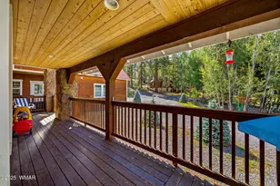 61 Cr 1121, Greer, AZ 85927 - Photo 13