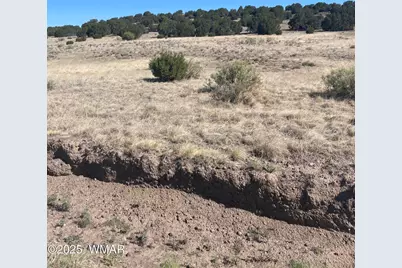 35 Lexington, Concho, AZ 85924 - Photo 7