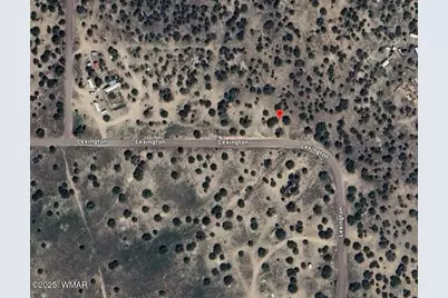 87 Lexington, Concho, AZ 85924 - Photo 15