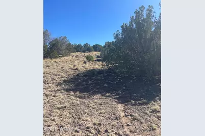 87 Lexington, Concho, AZ 85924 - Photo 7