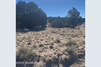 87 Lexington, Concho, AZ 85924 - Photo 9