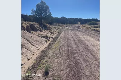 87 Lexington, Concho, AZ 85924 - Photo 11