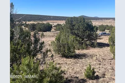 87 Lexington, Concho, AZ 85924 - Photo 5