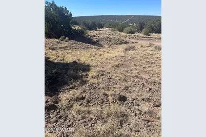 87 Lexington, Concho, AZ 85924 - Photo 1